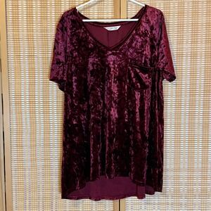 Spring + Mercer Velvet Legging Tee Bordeaux Red V-Neck Tunic XL Artsy Boho